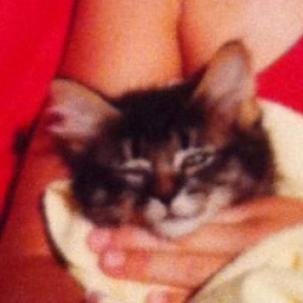 Meet your Posher, Caitlyn